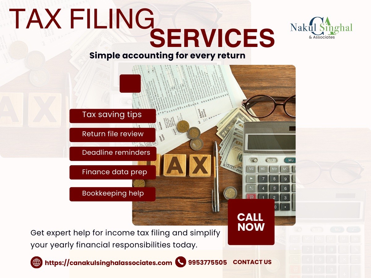 Tax Filing in Rohini
